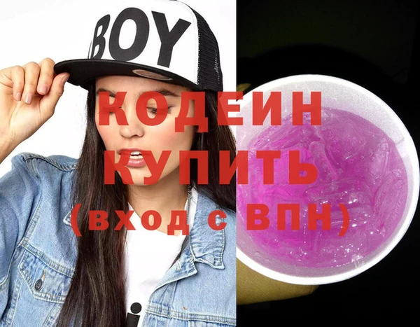 хмурый Алексин