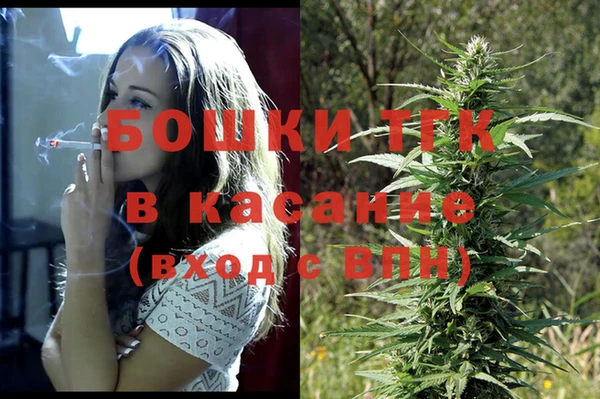 хмурый Алексин