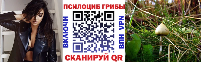 Псилоцибиновые грибы прущие грибы  что такое   Мещовск 